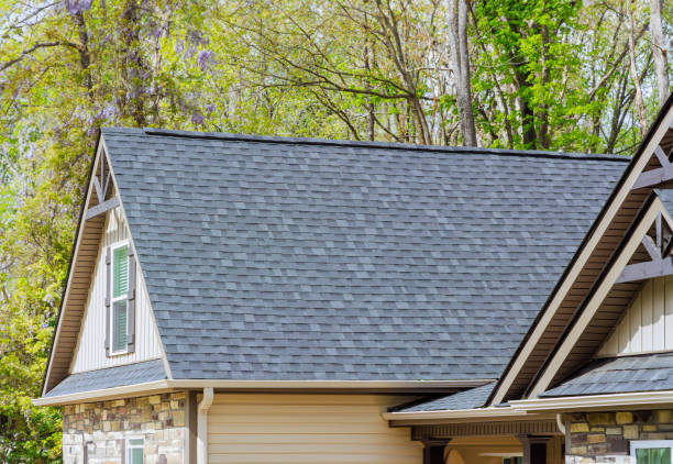 Trusted Ludington, MI Roofing Service Experts