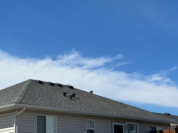 Best Tile Roofing Installation  in Ludington, MI